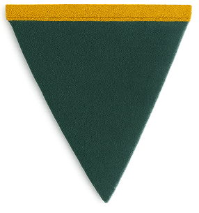 Experience Banner